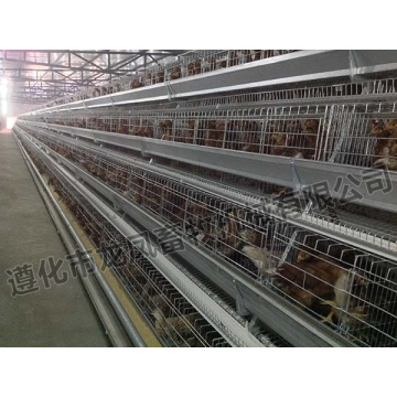 Galvanized Good Quality Chiken Cage with Certificate ISO, SGS